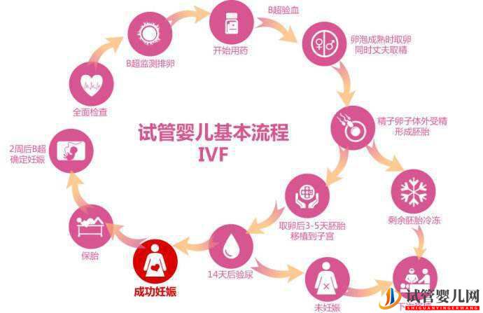 人工授精和試管嬰兒的區別(圖2)
