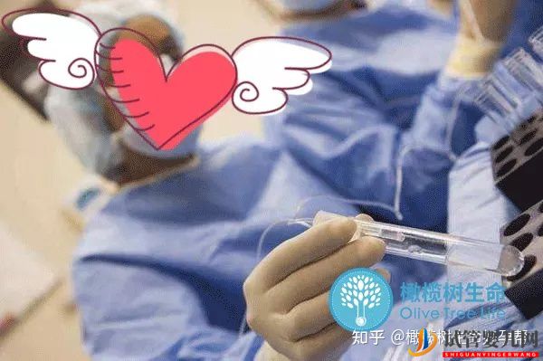 試管嬰兒必查項目性激素六項報告數(shù)值逐個(圖5)