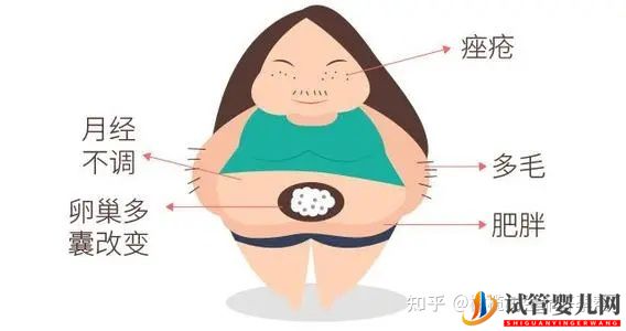 試管嬰兒必查項目性激素六項報告數(shù)值逐個(圖8)
