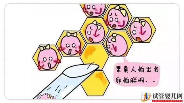 取卵真的特別疼嗎(圖3)