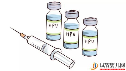 接種HPV疫苗后可以做試管嬰兒嗎?(圖1) 接種HPV疫苗后可以做試管嬰兒嗎?(圖1)