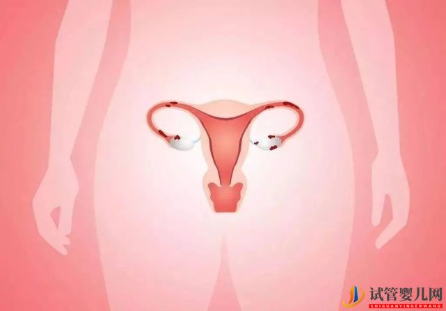 女性絕經后還可以做試管嬰兒嗎?(圖1) 女性絕經后還可以做試管嬰兒嗎?(圖1)