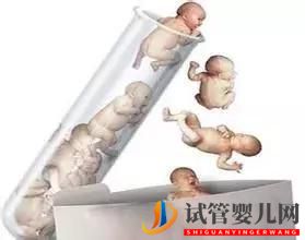 三代美國試管嬰兒有哪些區(qū)別(圖1) 三代美國試管嬰兒有哪些區(qū)別(圖1)