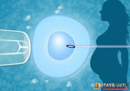 格魯吉亞試管嬰兒成功率如何(圖1)
