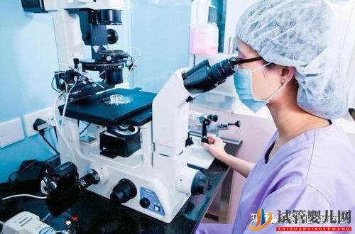 格魯吉亞試管嬰兒成功率如何(圖2)