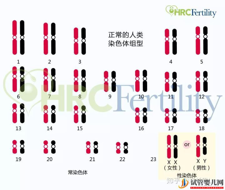 為什么選擇美國試管嬰兒_美國試管嬰兒到底有哪些優勢(圖2)