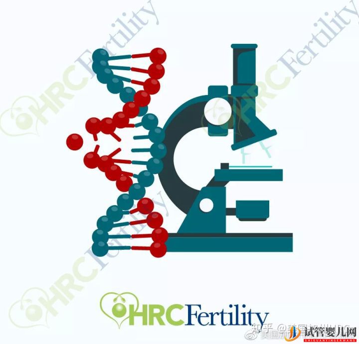原來美國試管是這樣的美國試管(圖8)