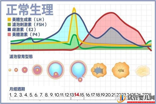 美國試管專家教你自測試管嬰兒成功率的方法(圖8) 美國試管專家教你自測試管嬰兒成功率的方法(圖8)