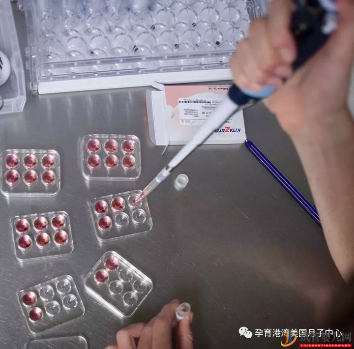 試管嬰兒技術(shù),美國vs中國(圖4)