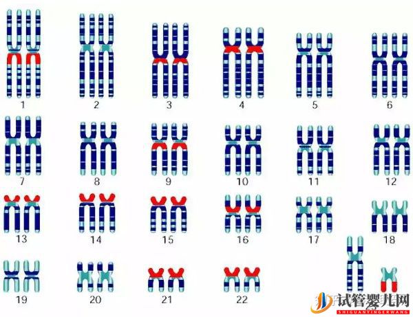 赴美做試管嬰兒怎么選擇靠譜的醫院(圖10) 赴美做試管嬰兒怎么選擇靠譜的醫院(圖10)