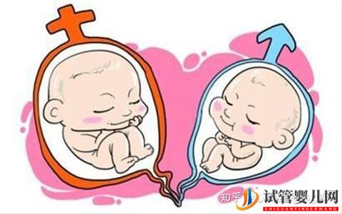 試管媽媽來教你_試管已生男孩的總結(jié)!(圖1)