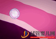 做試管嬰兒到底要花多少錢(qián)_幾萬(wàn)和十幾萬(wàn)有什么區(qū)別(圖8) 做試管嬰兒到底要花多少錢(qián)_幾萬(wàn)和十幾萬(wàn)有什么區(qū)別(圖8)