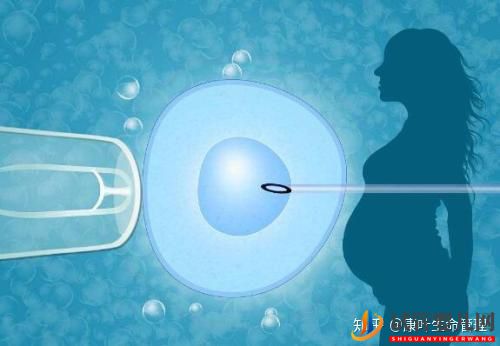 關(guān)于試管嬰兒與正常嬰兒的區(qū)別,你看這一篇就足夠了!(圖1)