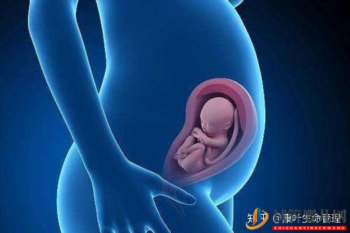 關(guān)于試管嬰兒與正常嬰兒的區(qū)別,你看這一篇就足夠了!(圖3)