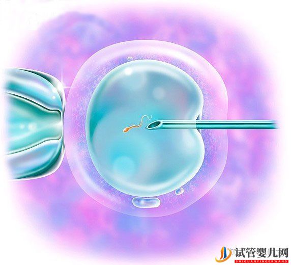 國(guó)內(nèi)第三代試管嬰兒移植前后,這些激素值很重要!(圖3)