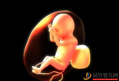 女性雌二醇低可以做試管嬰兒嗎有什么影響(圖1) 女性雌二醇低可以做試管嬰兒嗎有什么影響(圖1)