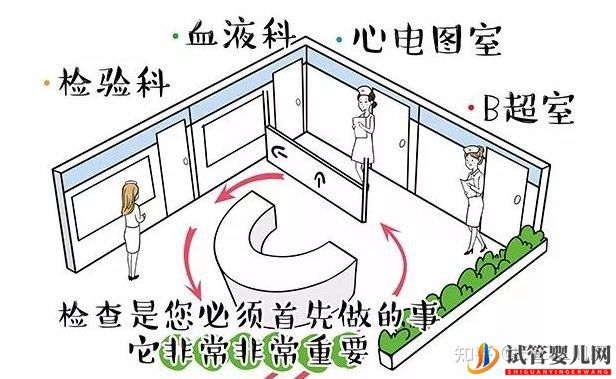 試管嬰兒男女雙方需要做的檢查項目及注意事項!(圖1) 試管嬰兒男女雙方需要做的檢查項目及注意事項!(圖1)