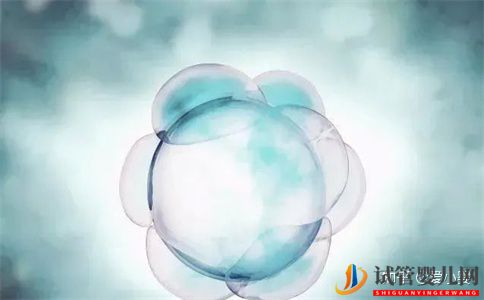  都勻三代試管取卵后要多少天才可以進行移植(圖1)