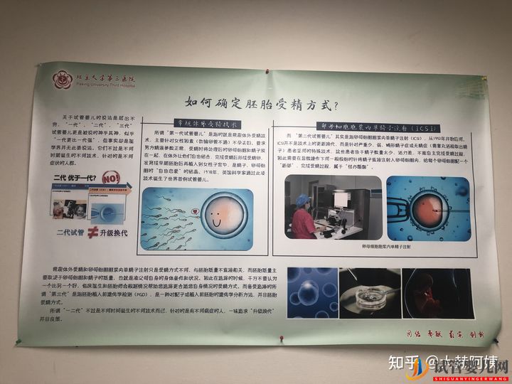 三代試管嬰兒記錄(北醫三院)(圖3)