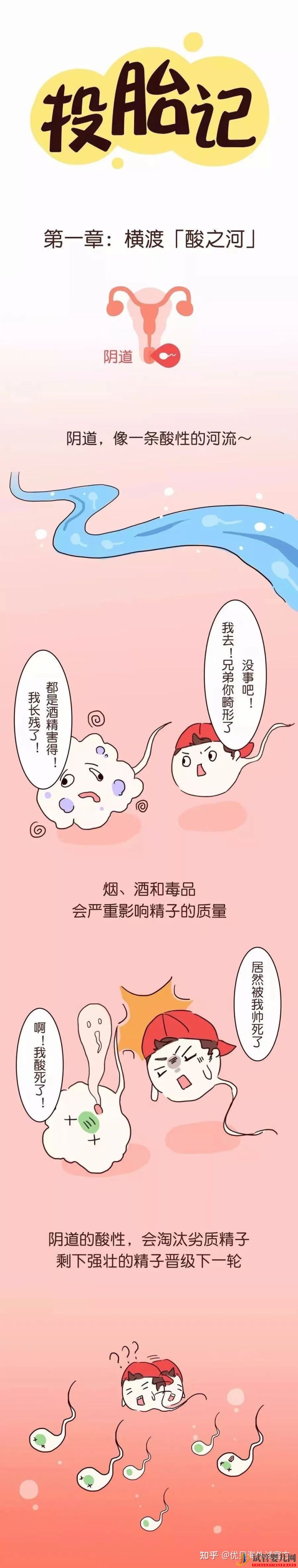 三代試管嬰兒選性別(圖1)