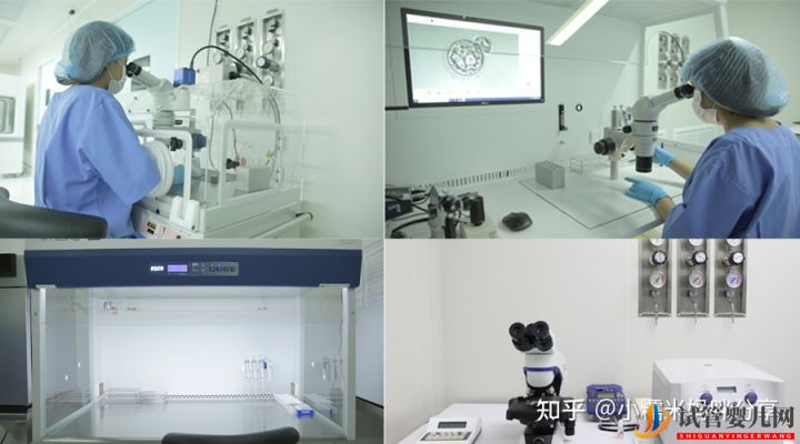 做一次試管嬰兒多少錢(圖2) 做一次試管嬰兒多少錢(圖2)