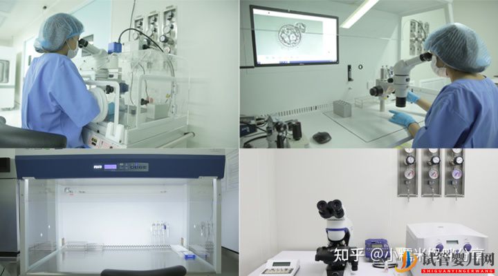 做一次試管嬰兒多少錢(圖1) 做一次試管嬰兒多少錢(圖1)