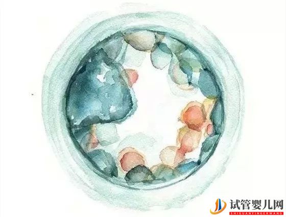 泰國試管嬰兒供卵的流程是怎么樣的(圖1) 泰國試管嬰兒供卵的流程是怎么樣的(圖1)