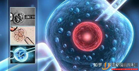 做一次試管嬰兒有哪些流程(圖4) 做一次試管嬰兒有哪些流程(圖4)