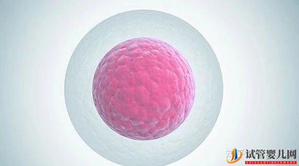 泰國做第三試管女性受罪嗎(圖4) 泰國做第三試管女性受罪嗎(圖4)