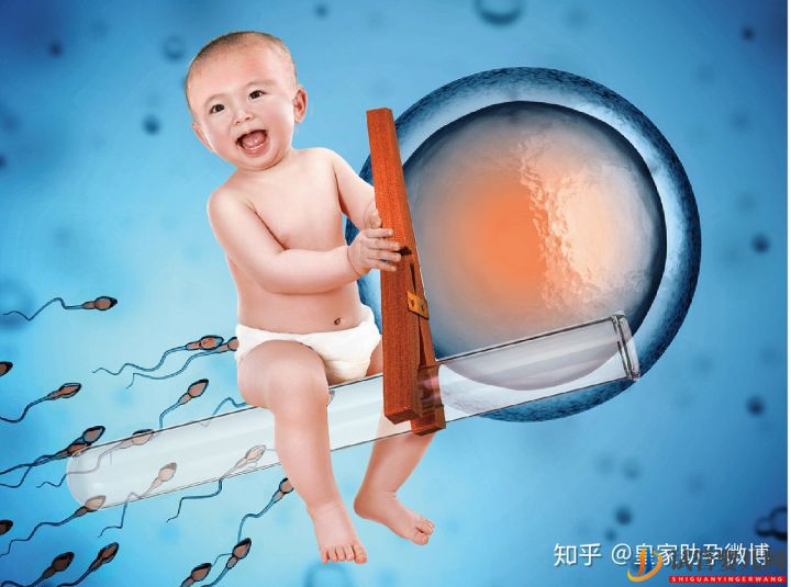 試管嬰兒90%不是自己的這才是事實(shí)的真相(圖1)