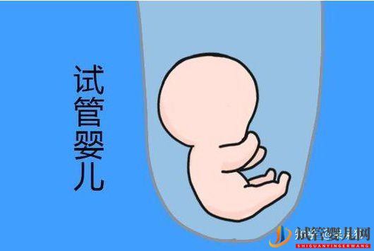第三代試管嬰兒的流程及費用標準怎么樣(圖1) 第三代試管嬰兒的流程及費用標準怎么樣(圖1)