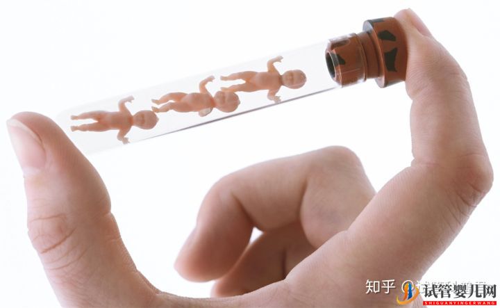 試管嬰兒成功誕生有多難(圖2) 試管嬰兒成功誕生有多難(圖2)