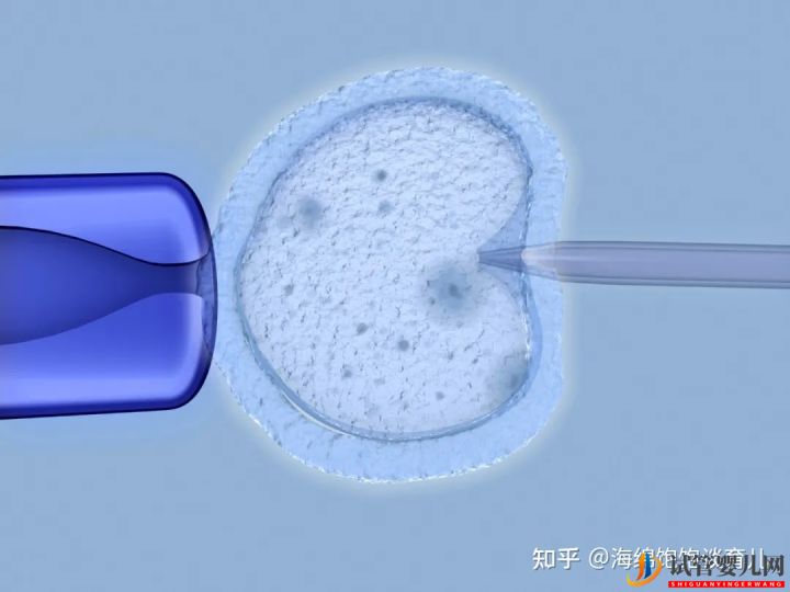 試管嬰兒1代、2代、3代、4代哪個最好_真實操作過(圖3)