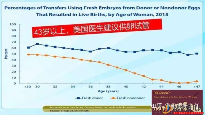 試管嬰兒大概要花多少錢_做幾次成功是正常的(圖6) 試管嬰兒大概要花多少錢_做幾次成功是正常的(圖6)