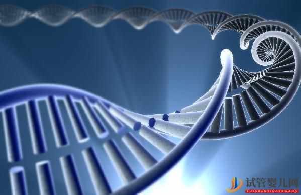 第三代試管嬰兒與PGD_PGS基因篩查技術(shù)(圖2)