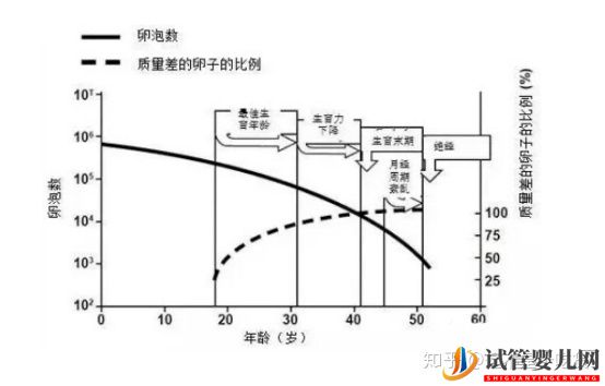 第三代試管嬰兒完美解決染色體異常(圖4)