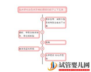第三代試管嬰兒完美解決染色體異常(圖2)