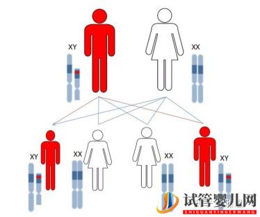 第三代試管嬰兒技術可以篩查哪些常見的遺傳疾病呢(圖2)