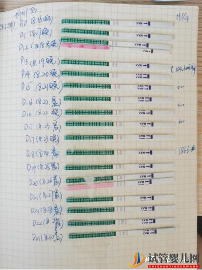 一個15年多囊老患者的自然懷孕經(jīng)歷(圖5)