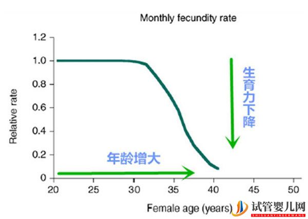 高齡女性對試管嬰兒成功率有哪些影響_如何提高女性卵子質量(圖1)