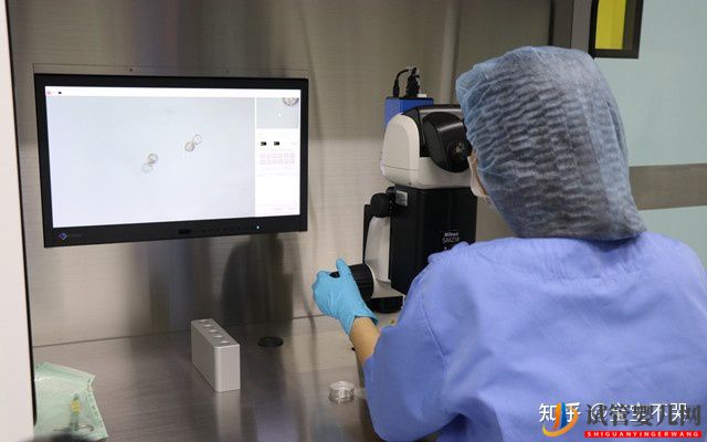 喀什借卵做試管的費(fèi)用大概是多少(圖1)