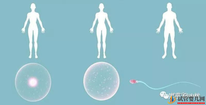竟然有人說(shuō),試管嬰兒90%不是自己的(圖3)
