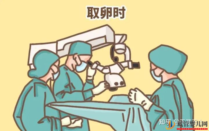 南通做試管按年齡收費(fèi)_40歲女性做一次要多少錢(圖5)