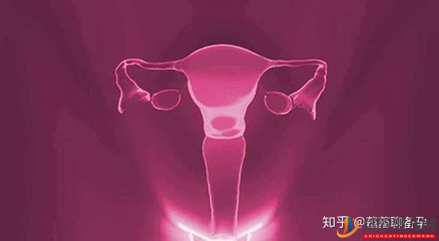 24歲的我卵巢功能下降,懷孕路上困難重重,幸而試管(圖1)