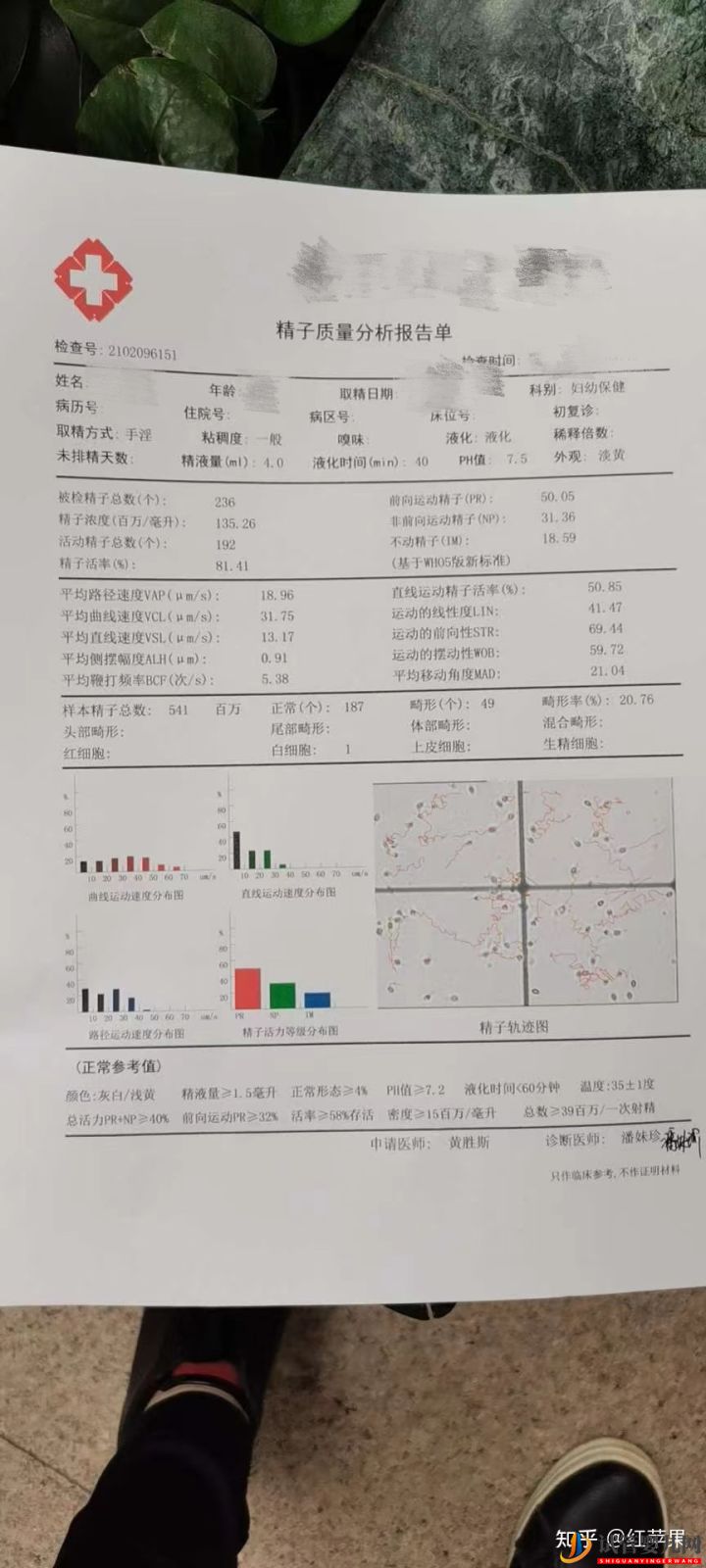 33歲三代試管嬰兒一次成功,試管嬰兒流程分享(圖6)