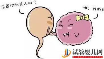 40歲才做試管嬰兒,能一次成功嗎(圖2)