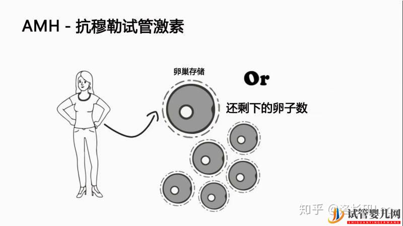 大齡做試管還有機會嗎_美國試管大齡女性必須了解的(圖1)