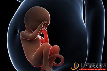 amh0.03,已經自然懷孕,不放棄高齡試管如何提高卵(圖6)