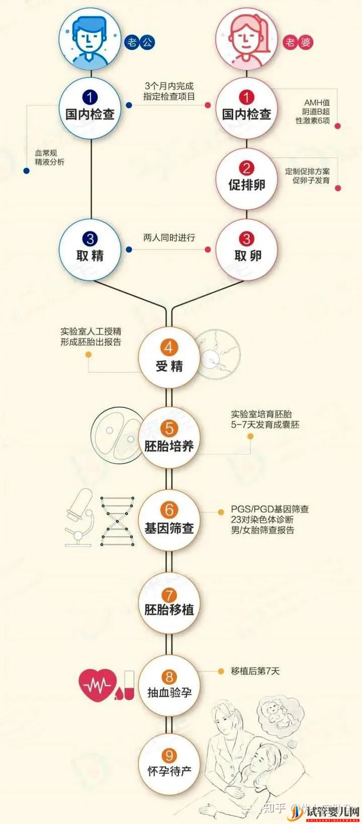全面解析第三代試管嬰兒的科普知識(圖7)