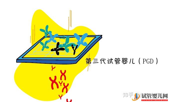 什么是三代試管嬰兒第三代試管嬰兒成功率高(圖4)